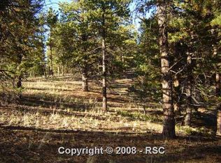 126 Garnet Way, Florissant, CO 80816