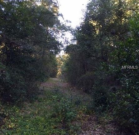 Road way to property