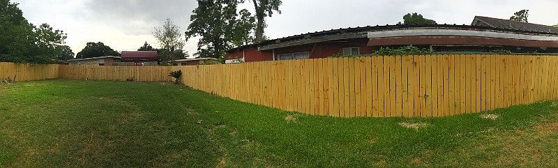 Back yard