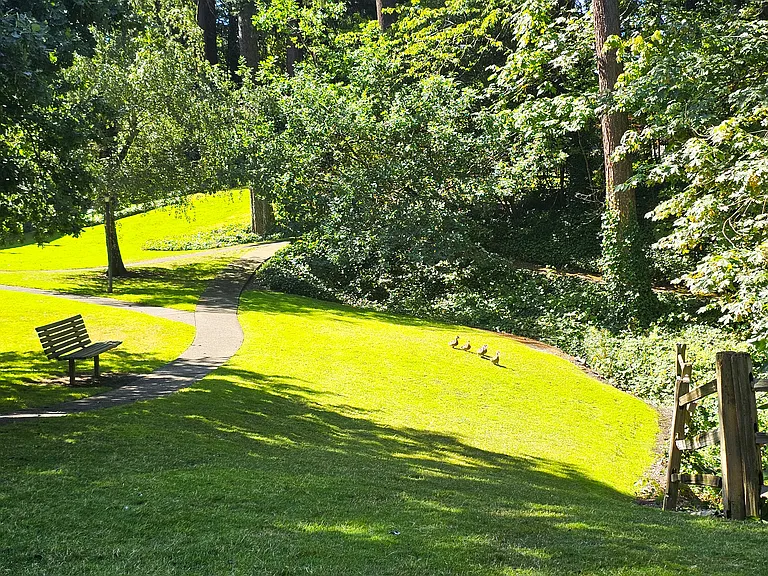 Grounds