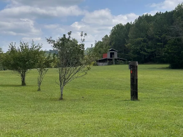 0 Grogan Rd, Buchanan, GA 30113