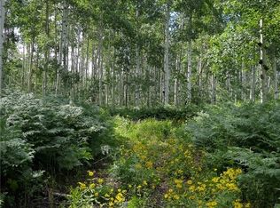 26480 Beaver Canyon Dr, Clark, CO 80428