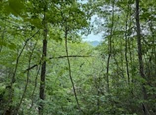 SM4 Raven Fork Trl, Dillard, GA 30537