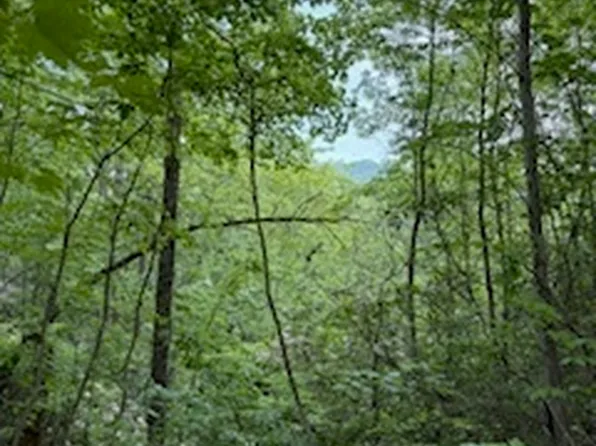 SM4 Raven Fork Trl, Dillard, GA 30537