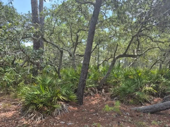 149 Price St, Alligator Pt, FL 32346