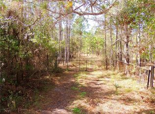 208 Lamar Rd, Pierson, FL 32180