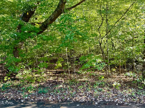 Reagan St, Harrogate, TN 37752