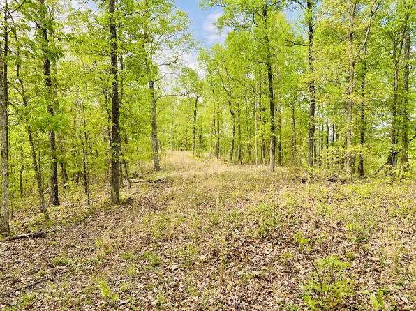 47 Ridge Top Rd, Stewart, TN 37175