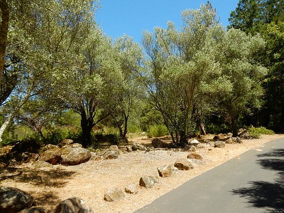 3rd image of 516 Viewridge Road