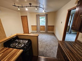 308 Pewabic St APT 13, Calumet, MI 49913