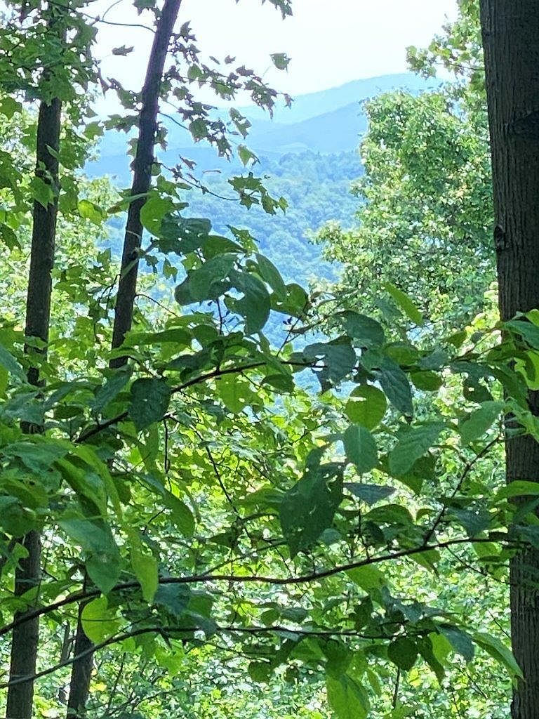 0 Fisher Ln NA, Boones Mill, VA 24065 MLS 898391 Zillow