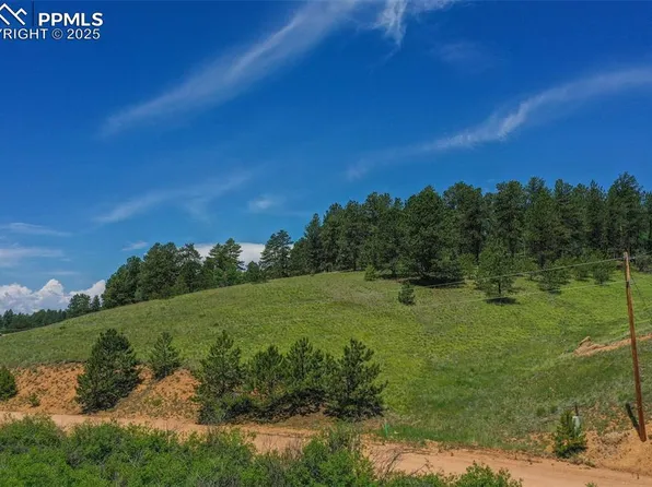 781 Arapahoe Creek Dr, Florissant, CO 80816