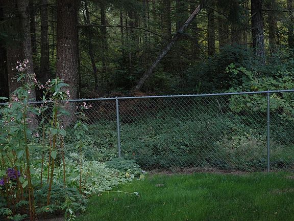Nice green belt behind the house.