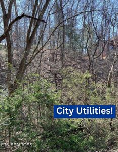 3210 Pine Way, Pigeon Forge, TN, 37863