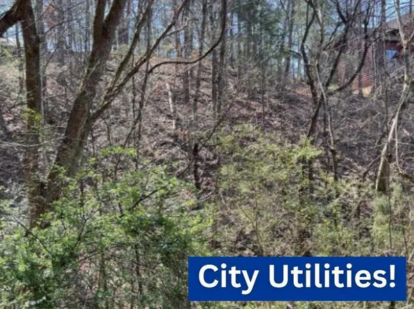 3210 Pine Way, Pigeon Forge, TN 37863