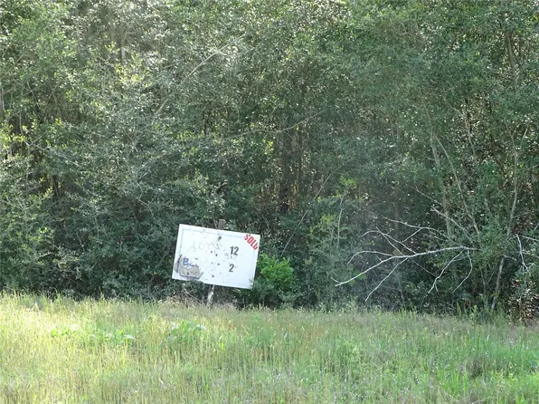 10774 Ruger Rd, Willis, TX 77378