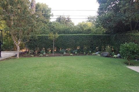 Backyard View