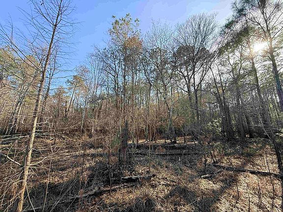 5th image of  Bryants Landing Rd.