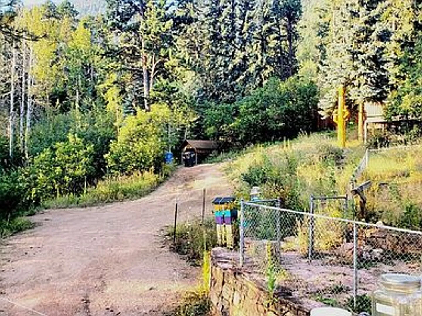 3 bedroom Log Cabin in Cascade! — Photo 4