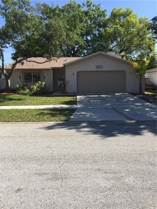4820 Cypress Tree Dr, Tampa, FL, 33624