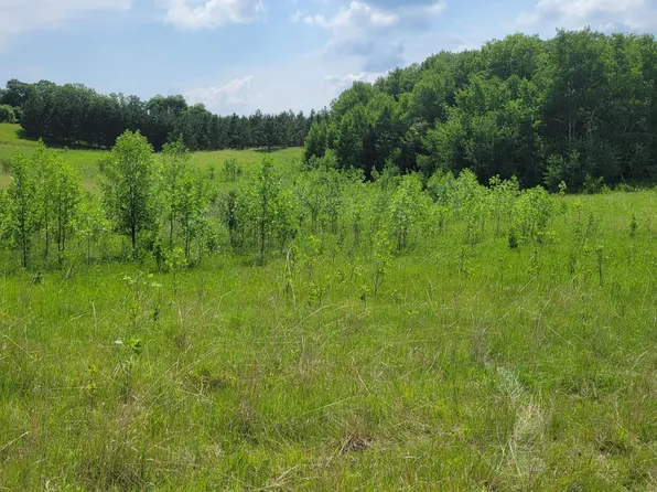 XXX 340th Ave, Underwood, MN 56586