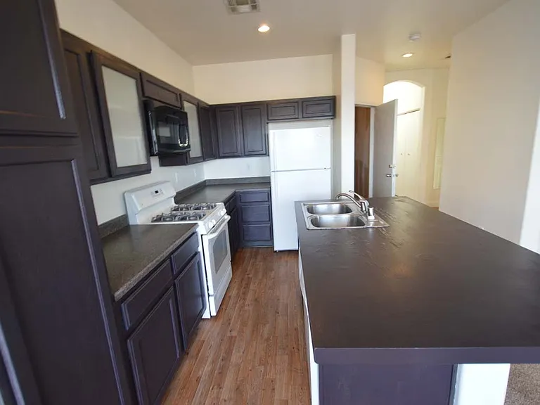6670 Tulip Falls Dr — Photo 12