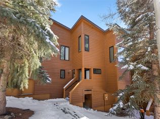 590 Tennis Club Rd #1335, Montezuma, CO 80435