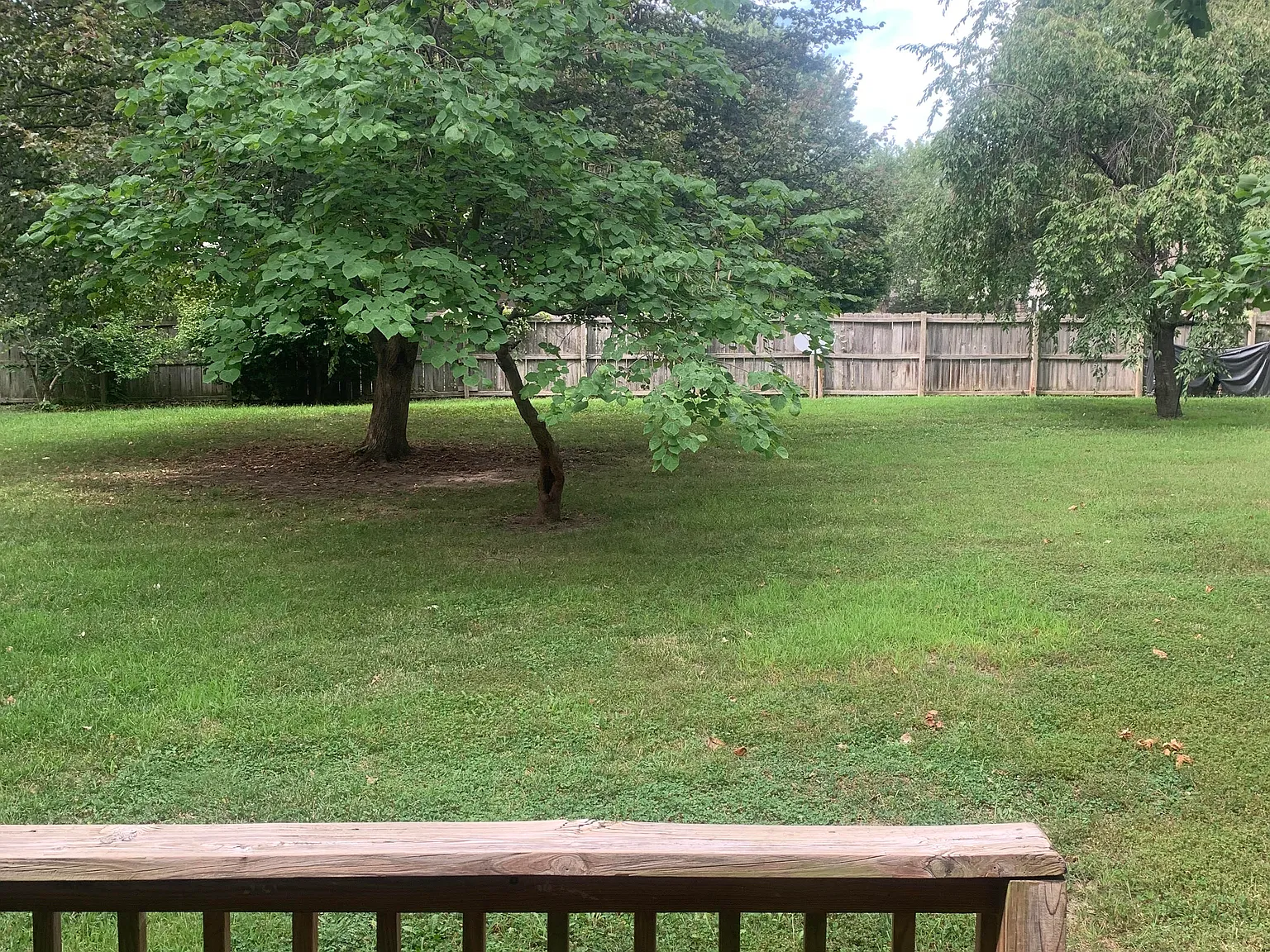 2 bed, 1248 sqft, $1,495 — Photo 2