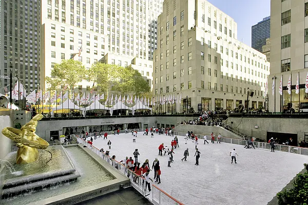 Sold by Stribling | media 3