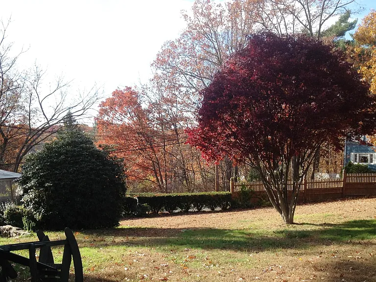 Private yard area for apartment