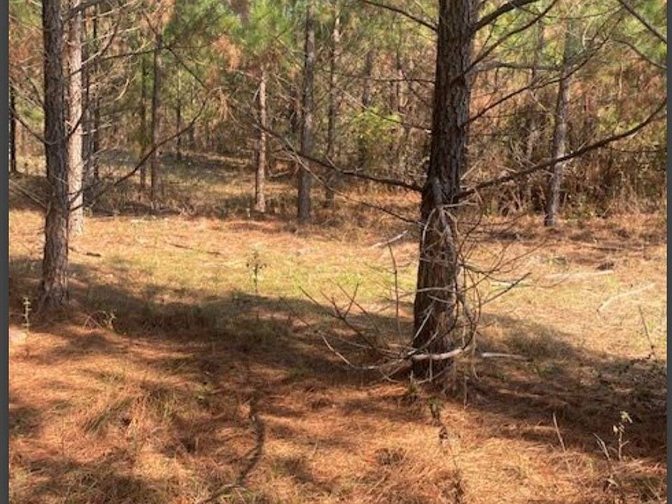 2nd image of 46 Hidden Pines Loop