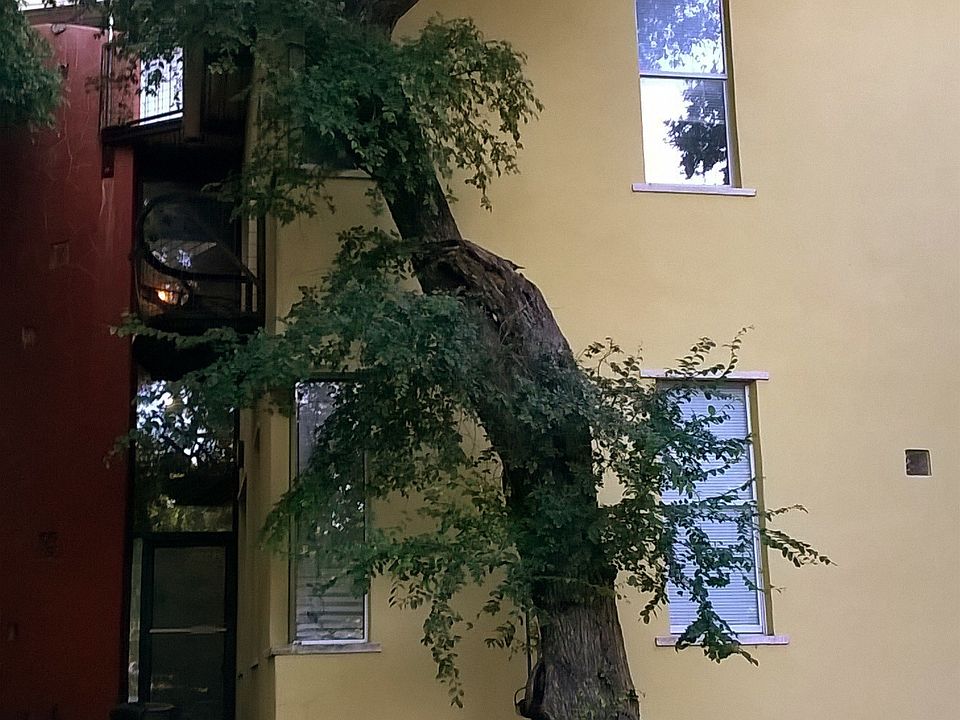 Front View of the Duplex