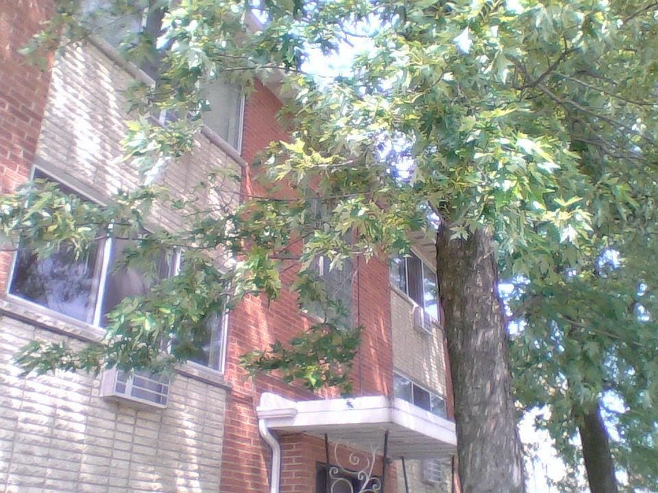1st image of 9226 Sally Ln APT 1W