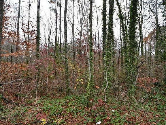 3rd image of White Oak Dr Lot 0