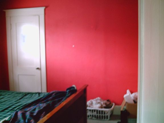 bedroom door shot, walk in closet on left side of room