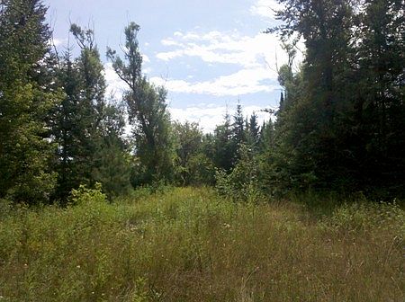 2nd image of 121 Frea Rd