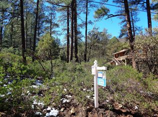LOT 163 N Hunt Dr, Pine, AZ 85544