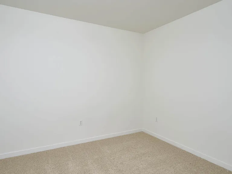 Carpeted Den