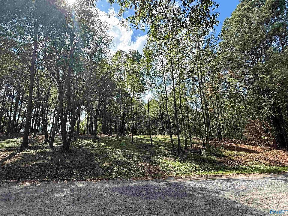 2nd image of 1B County Road 1123