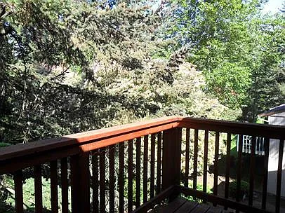 3318 Willow Ct SE — Photo 10