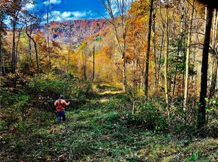 0 Sugar Cove Rd, Clyde, NC 28721