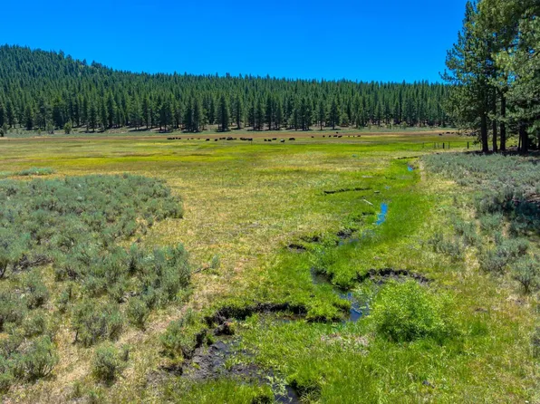 Smithneck Rd, Loyalton, CA 96118