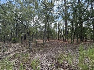 NW Tree Top Rd LOT 11, Dunnellon, FL 34431