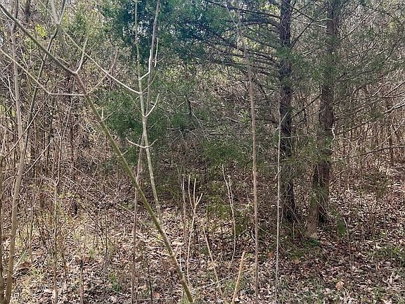 4th image of 14 Oak Hammock Cir Lot Pt11