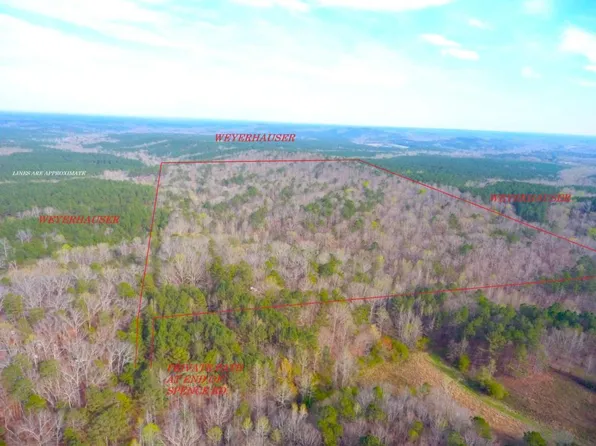 1 Spence Rd, Buchanan, GA 30113