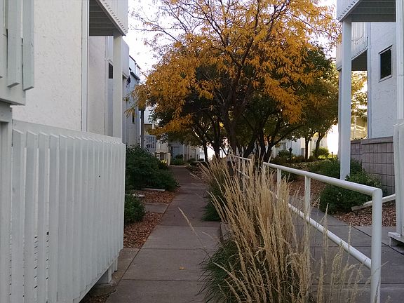 Walkway to front door from nearest parking lot. First door o