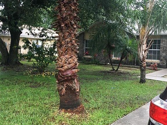3rd image of 632 Gazelle Dr