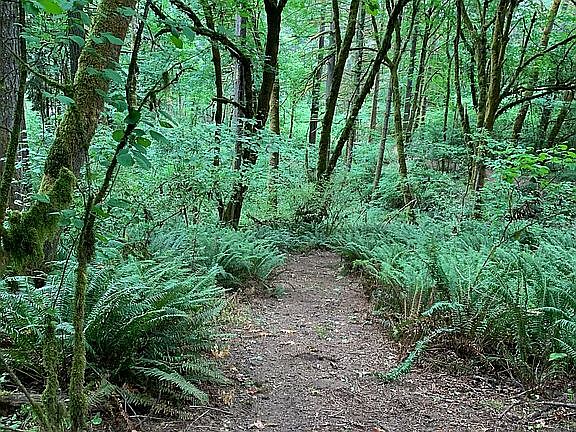 ATV and hiking trails 