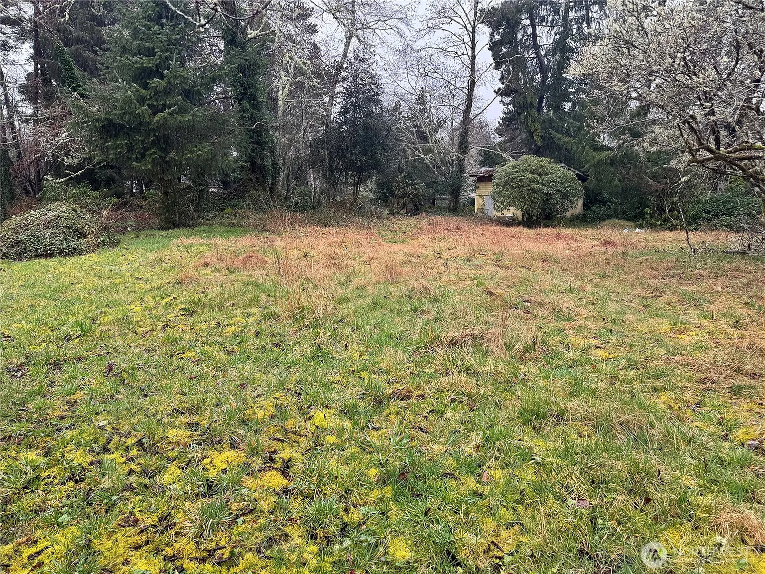 2414 267th Ln photo 1