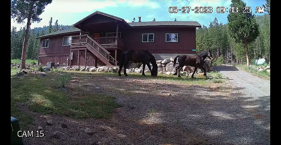 1st image of 12 Moss Dr